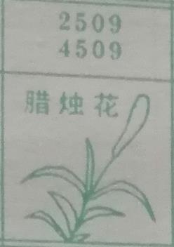 梦兆图